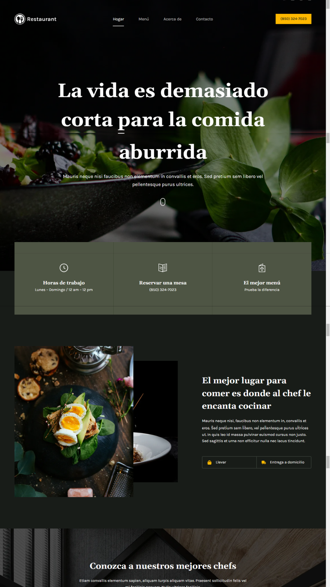 agencias de seo
